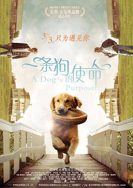 好朋友的年轻妈妈